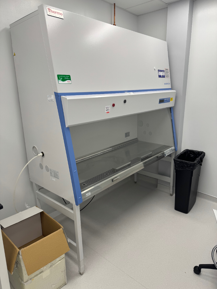 Image of Thermo 1300 Series A2 6' BioSafety Cabinet